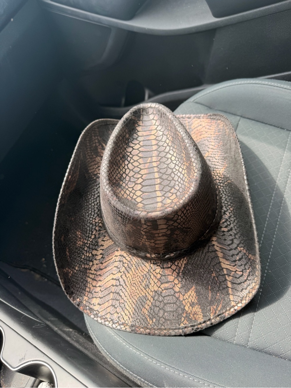 Cowgirl Hat Halloween